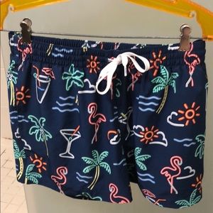 Chubbies swim trunks.  4” inseam. Neon lights.